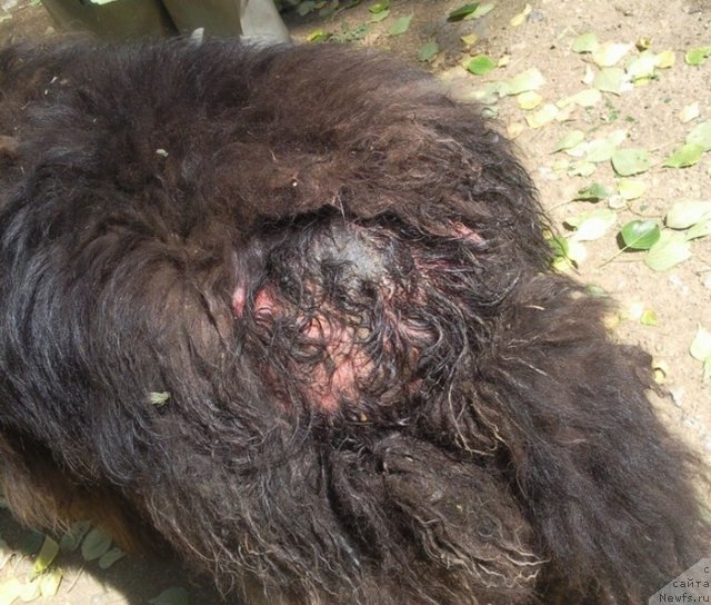 Фотография № 100567