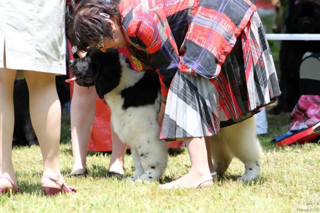 Фотография № 100569