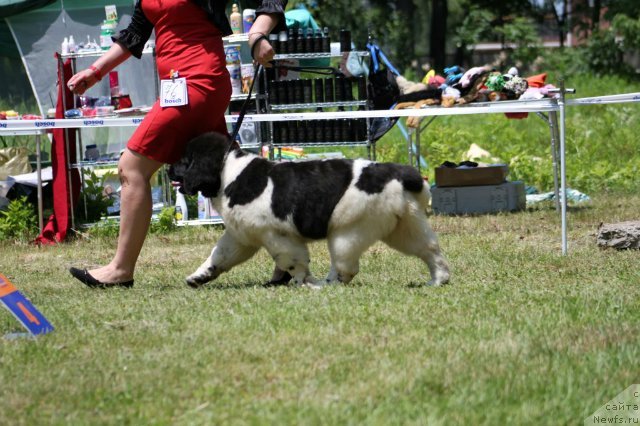 Фотография № 100570