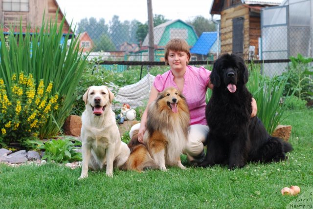 Фотография № 100582