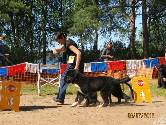 Фото: Алевтина Батян