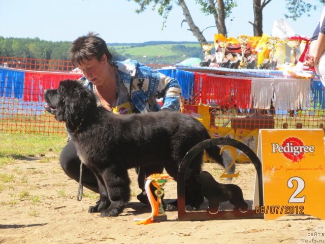 Фото: Вера Гнитеева