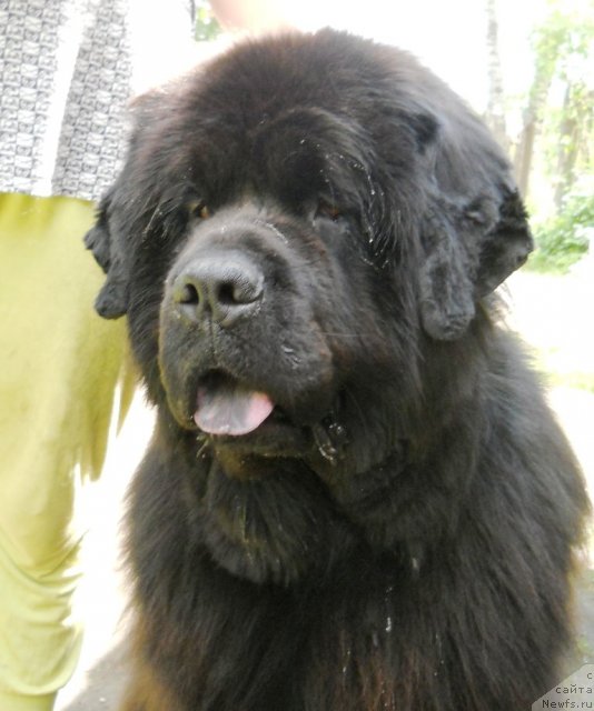 Фотография № 100617