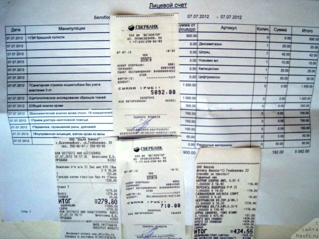 Фотография № 100632