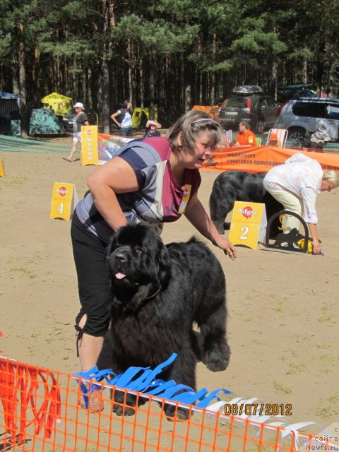 Фото: Ирина Габова, ньюфаундленд Акватория Келвин Олимпус (Aquatoriya Kelvin Olympus)