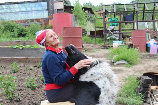 Фотография № 100709