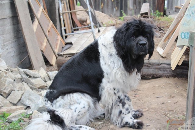 Фотография № 100711