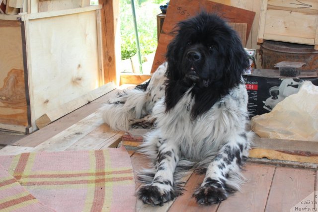 Фотография № 100712