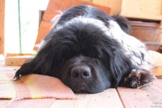 Фотография № 100714