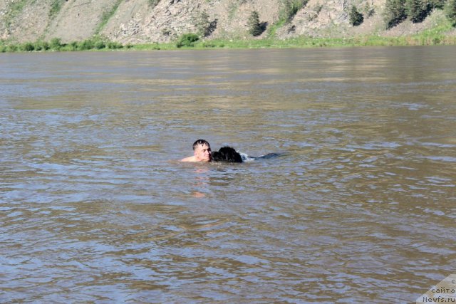 Фотография № 100715