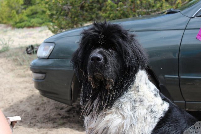 Фотография № 100717