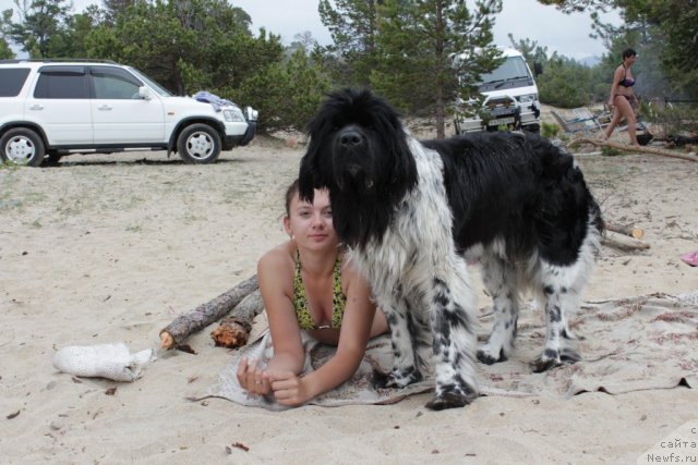 Фотография № 100725