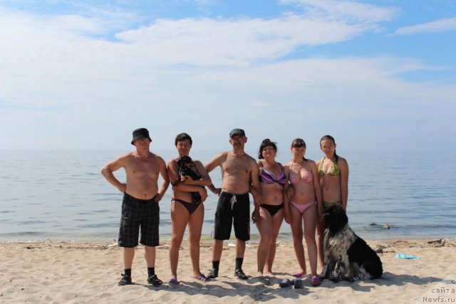 Фотография № 100726