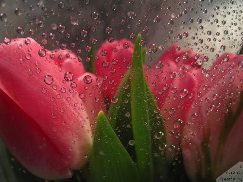 Фотография № 10073