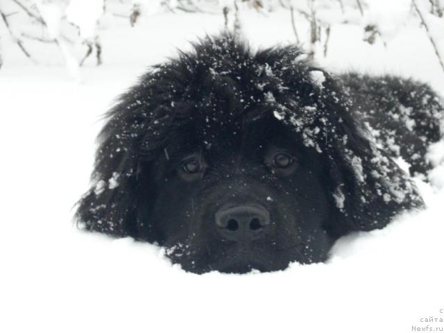 Фотография № 10075