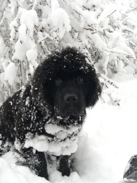 Фотография № 10076