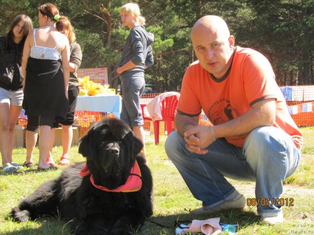 Фото: ньюфаундленд Их Высочество Владлена Маджикс, Алексей Нистратов