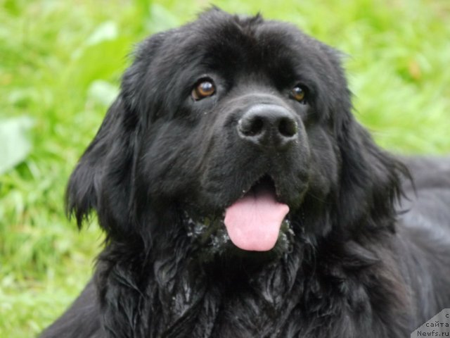 Фотография № 100793