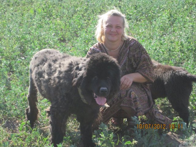 Фотография № 100795