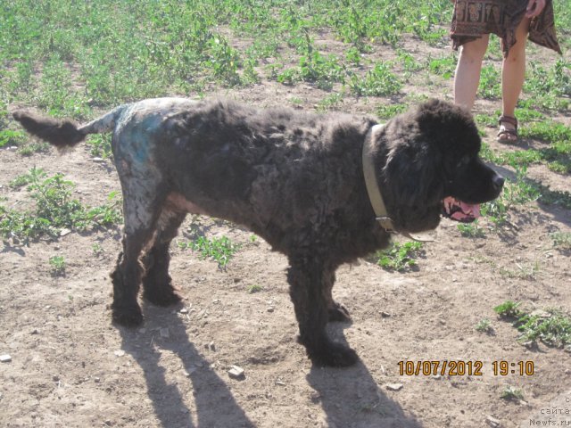 Фотография № 100797