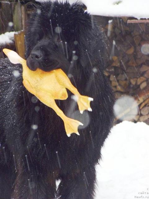 Фотография № 10082