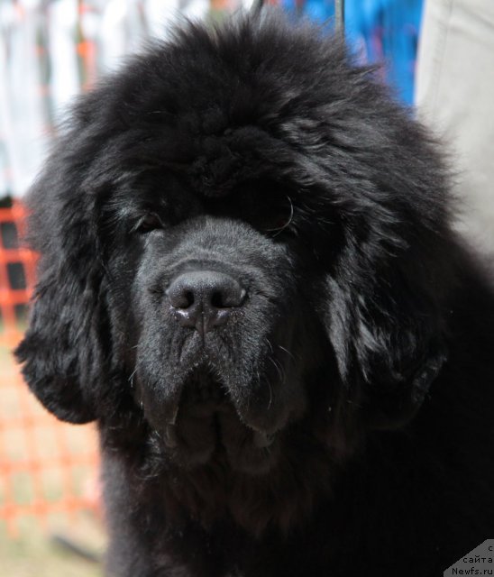 Фотография № 100820