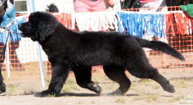 Фотография № 100825