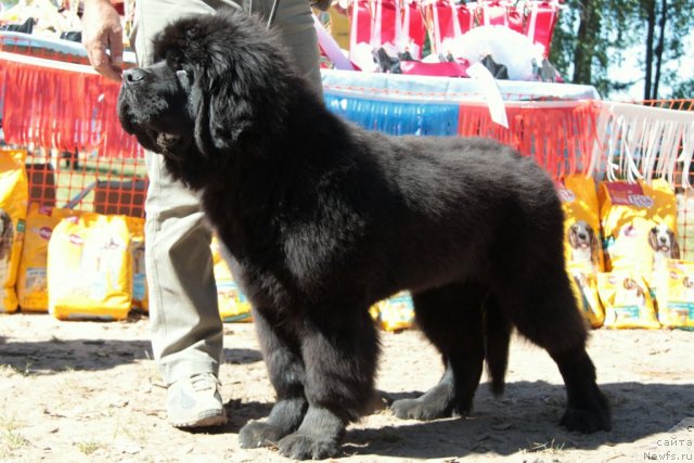 Фотография № 100826