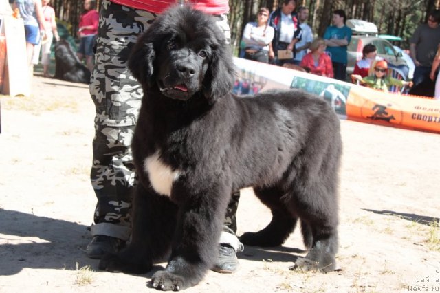 Фотография № 100837