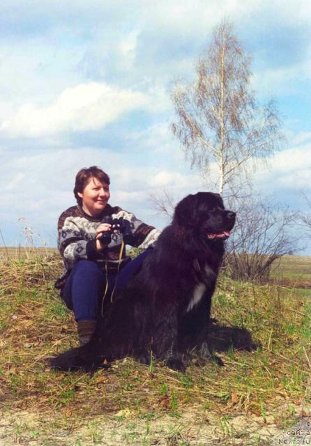 Фотография № 10084