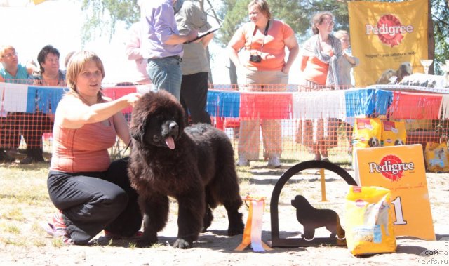 Фотография № 100861