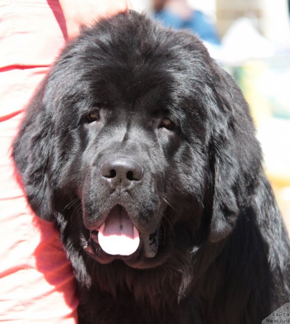 Фотография № 100864