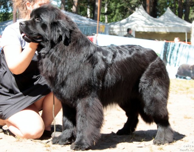 Фотография № 100872