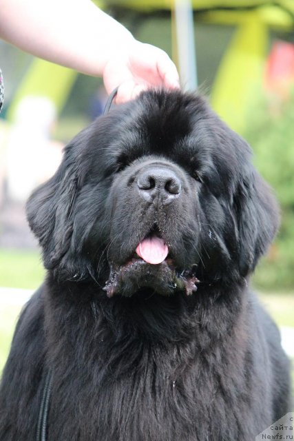 Фотография № 100877