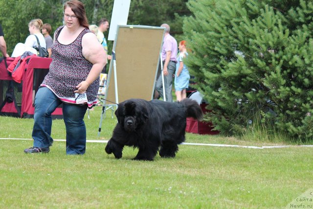 Фотография № 100878