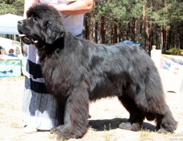 Фотография № 100879