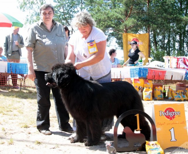 Фотография № 100882