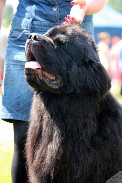 Фотография № 100885