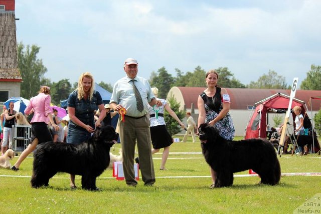 Фотография № 100886