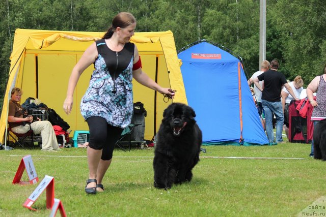 Фотография № 100889