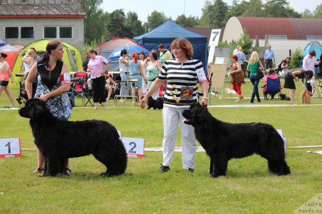 Фотография № 100892