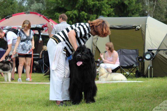 Фотография № 100899