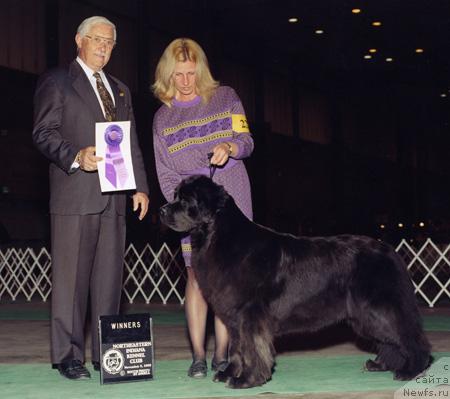 Фотография № 1009