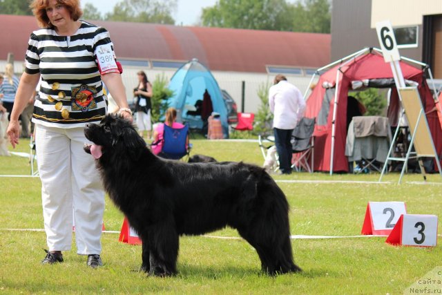 Фотография № 100901