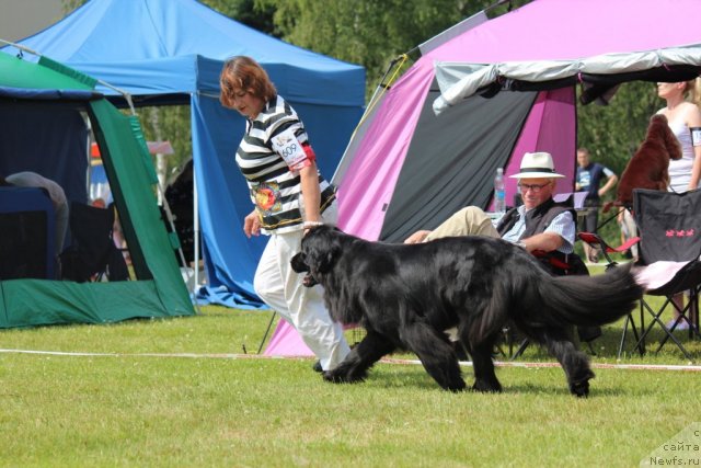 Фотография № 100902