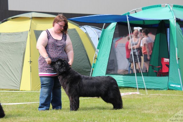 Фотография № 100907