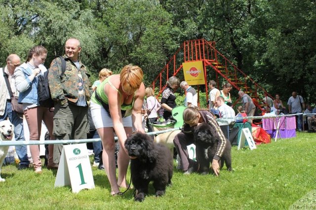 Фотография № 100909