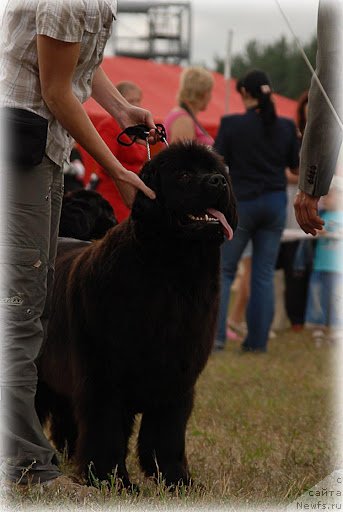 Фотография № 100915