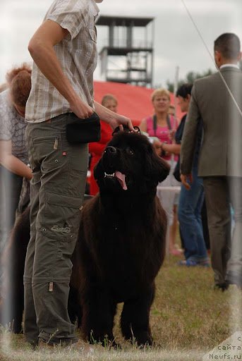 Фотография № 100916