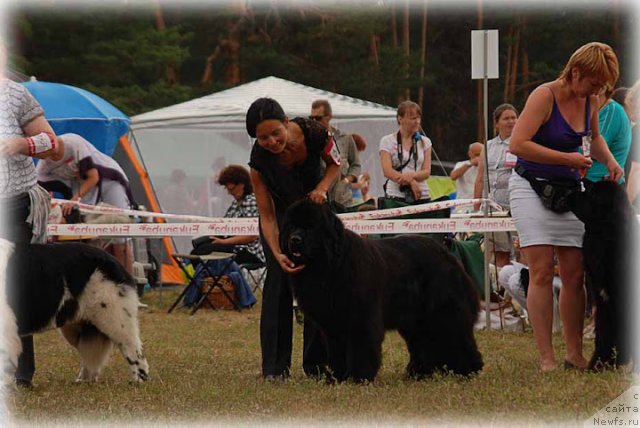 Фотография № 100917